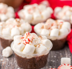 These Peppermint Hot Chocolate Pudding Shots are always such a hit at any holiday party!  Creamy hot chocolate pudding is mixed with Bailey’s Irish Cream and topped with whipped cream, mini marshmallows and crushed peppermints.  These are easy to whip up and a great festive treat!
