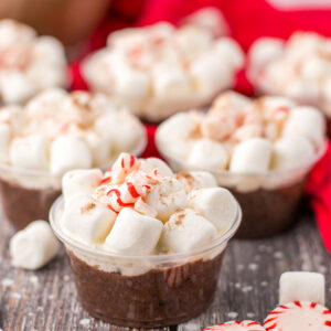 These Peppermint Hot Chocolate Pudding Shots are always such a hit at any holiday party!  Creamy hot chocolate pudding is mixed with Bailey’s Irish Cream and topped with whipped cream, mini marshmallows and crushed peppermints.  These are easy to whip up and a great festive treat!