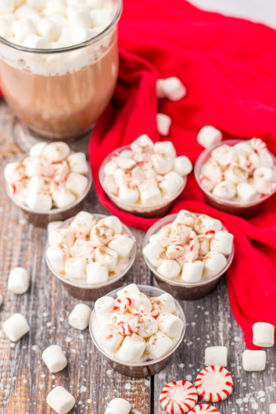 hristmas Peppermint Hot Chocolate Pudding Shots are always such a hit at any holiday party!  Creamy hot chocolate pudding is mixed with Bailey’s Irish Cream and topped with whipped cream, mini marshmallows and crushed peppermints.  These are easy to whip up and a great festive treat!